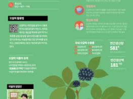 산림청, 6월 이달의 임산물로 '오갈피나무' 선정 기사 이미지