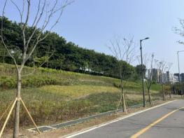 성동구, 도심과 자연이 만나는 '바람길숲' 조성…미세먼지 저감 효과까지! 기사 이미지