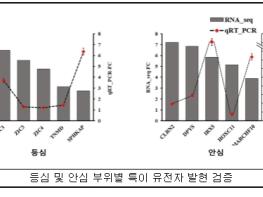 농촌진흥청, 등심과 안심, 맛·식감 차이…유전자가 달랐다 기사 이미지