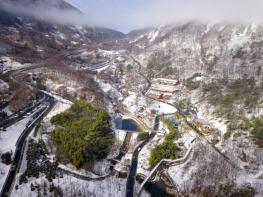 ‘월아산 숲속의 진주’ 올해 10월까지 방문객 50만명 돌파  기사 이미지