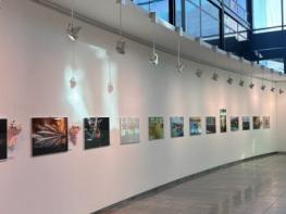 계양구, 계양아트갤러리 2026년도 상반기 대관 접수 시작 기사 이미지