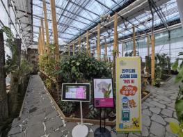 진주시에서 카틀레야의 향기를 느껴 보세요! 기사 이미지