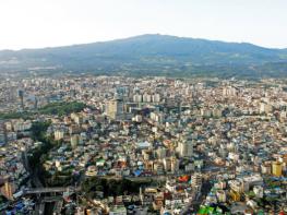 제주시, 실외 사육견 중성화수술 지원사업 대상자 모집 기사 이미지