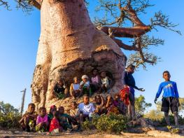 합천군 서정철 사진작가, 마다가스카르 바오밥 사진전 ⌜神이 된 나무⌟ 기사 이미지