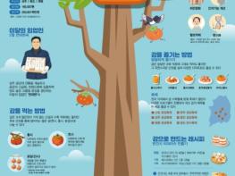 산림청, 2월 이달의 임산물로 '감' 선정 기사 이미지