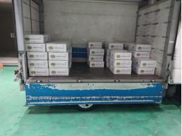 제주도 농업기술원, 봄 재배용 수경재배 씨감자 8.1톤 공급 완료 기사 이미지