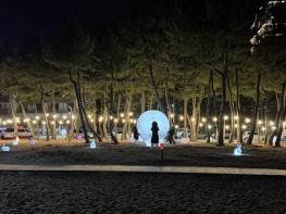 겨울 비수기 뒤집었다...양양 낙산해변 달빛 모닥불 축제 2,000여명 방문 기사 이미지