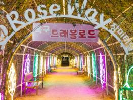부산 북구, ‘장미공원, 빛의 소망길을 걷다’ 북구 트래블로드 주간 행사 성황리 종료...더욱 내실 있는 행사로 다시 선보일 것! 기사 이미지