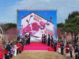 신안군, ‘2026 섬 홍매화 축제’ 성황리에 폐막 기사 이미지