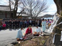 ‘나주읍성 당산문화제’ 성료…정월대보름 세시풍속 재현 기사 이미지