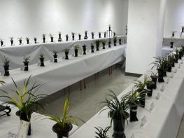 보령시 난 연합회, 봄을 알리는 '제26회 봄 전시회' 개최 기사 이미지