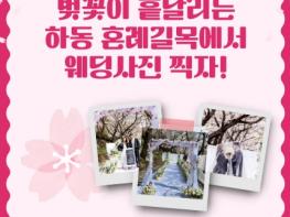 하동군, 벚꽃축제 앞두고 혼례길목 웨딩 촬영 참가자 모집 기사 이미지