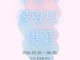 제주TP, ‘당신이 몰랐던 벚꽃’ 사진전 개최 기사 이미지