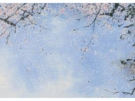 전주시 완산도서관 기획초대전, 송만규 작가의 ‘완산의봄, 사유하는 강’ 개최 기사 이미지