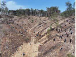 안동시, 제81회 식목일 기념 나무심기 행사 개최 기사 이미지