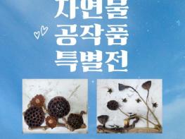 부평구청 굴포갤러리 자연물 공작품 특별전 개최 기사 이미지