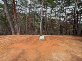 국가유산청, 단종과 정순왕후 서사 '꽃'으로 풀어낸 들꽃 식재 행사와 고유제 개최 기사 이미지