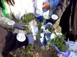 서귀포시, 제30회 한라산 청정 고사리 축제 개최 기사 이미지