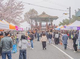 보령시, 옥마산 봄꽃 축제 성황리에 마쳐 기사 이미지