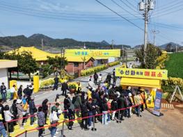 신안군 ‘2026 섬 수선화 축제’ 성공적으로 마무리 기사 이미지