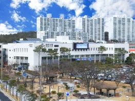 영천시, “마늘 주아종구 미리 신청하세요” 기사 이미지