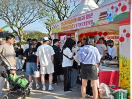 제28회 함평나비대축제, 중국 피두구와 교류로 ‘글로벌 축제’ 발돋움 기사 이미지