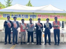 농식품부, 대대적 양파소비 촉진 전개 기사 이미지