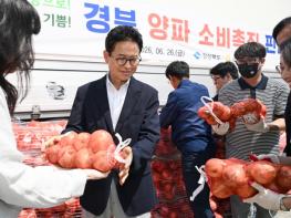 경북도, 양파 가격 하락에 소비촉진·수출 확대 총력 기사 이미지