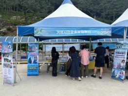 수국과 함께한 거제 여행, 관광 홍보캠페인으로 매력 더하다 기사 이미지
