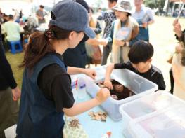 서귀포농업기술센터, 손끝에 머문 자연의 색(色)…천연염색 한마당 축제 개최 기사 이미지
