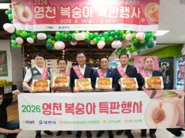 아삭달콤한 영천복숭아, 전국 132개 이마트에서 만난다! 기사 이미지