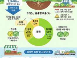 올해 제주산 양배추 5% 줄고 브로콜리는 지난해 수준 전망 기사 이미지