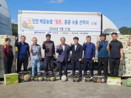 진안군, 지역 특화작목 멜론 홍콩 수출 기사 이미지