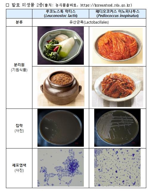 농진청-식약처, 전통발효식품 유래 케이(K)-유산균 식품 원료 등재 추진 기사 이미지